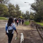 IMG-20250428-WA0044