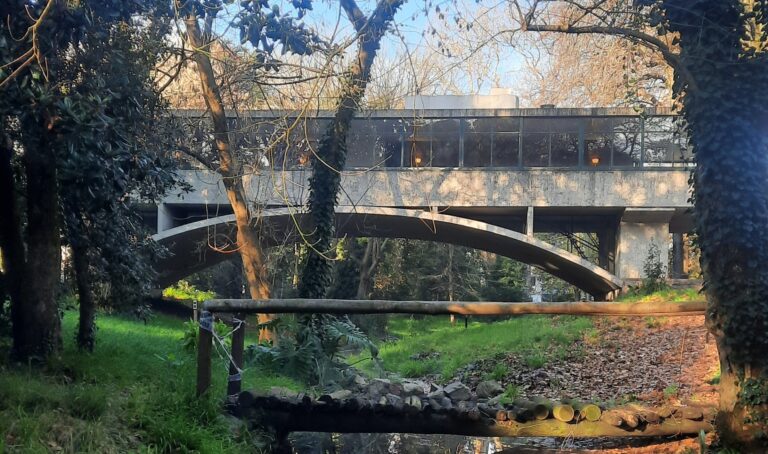 Visita educativa y cultural al Museo Casa sobre el Arroyo