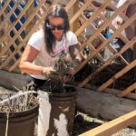 VII Rover Moot Nacional 2026