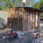 WhatsApp Image 2026-02-04 at 1.24.1