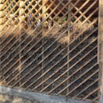 WhatsApp Image 2026-02-04 at 1.24.19